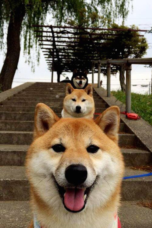 开云官方-“青春筑梦”青少年篮球文化研讨会在广州成功举办，推动行业交流