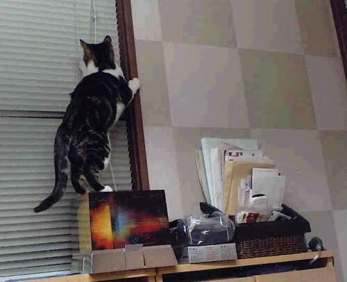 kaiyun.com-反败为胜：逆境中爆发的团队精神，反败为胜的话语