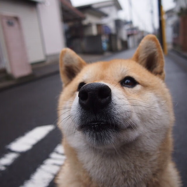 国内外媒体关注,中超带火全民足球热潮,中超专用足球